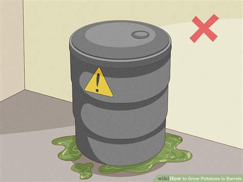 How To Grow Potatoes In Barrels With Pictures Wikihow