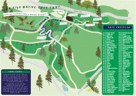 British Native Tree Trail - FRIENDS OF GEDLING COUNTRY PARK