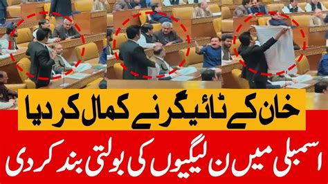 Pti Tiger Unbelievable Video In Assembly Imran Khan Supporter Punab