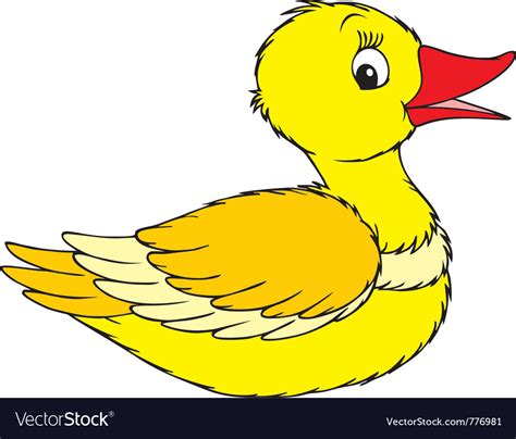 Duck Royalty Free Vector Image VectorStock