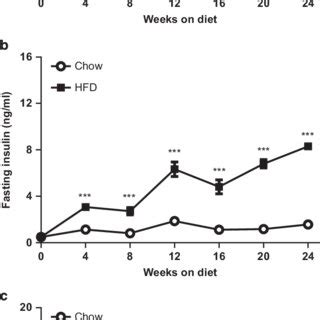 Time Course Analysis Of The Effect Of HFD On Body Weight And Metabolic