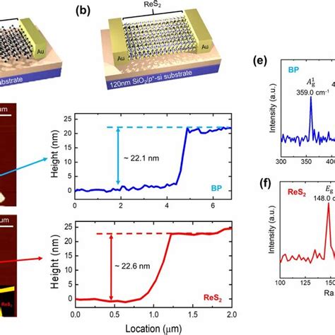 Device Structure And Optical Raman Spectra Of Multilayer Tmds Device