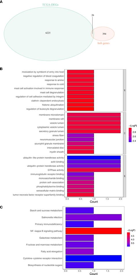 Frontiers Tumor Purity Associated Genes Influence Hepatocellular