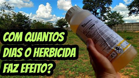 Quanto Tempo Leva Para O Roundup Glifosato Fazer Efeito Quantos Dias