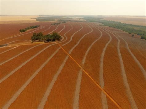 Plantio E A Colheita Em Terrenos Acidentados O Que Voc Precisa Saber