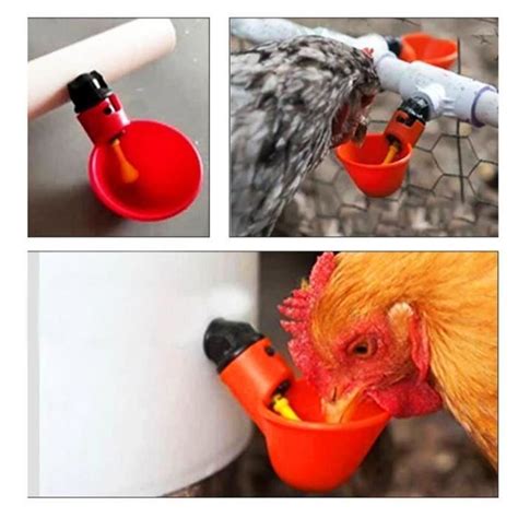 Yosoo Tasses D Abreuvoir De Poulet Pcs Automatique De Tasses D Eau De