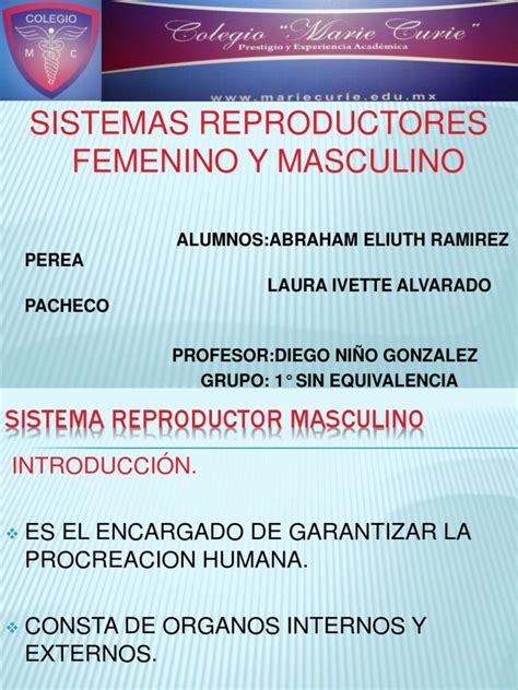 Pdf Aparato Reproductor Masculino Power Dokumen Tips