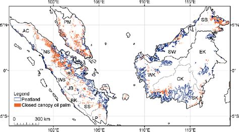 Distribution Of Closed Canopy Oil Palm Plantations And Tropical