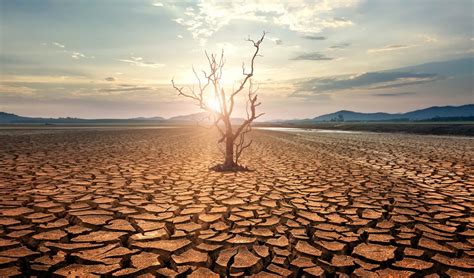 Emergência climática Mundo está indo na direção errada alertam