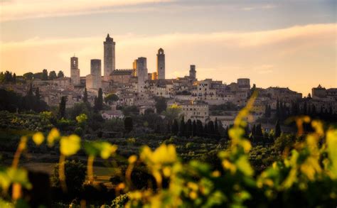 San Gimignano and The Vineyards | Italy - Fine Art Photography by Nico Trinkhaus