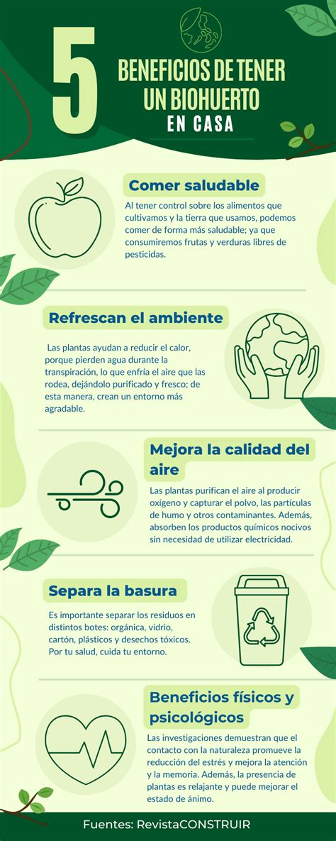 Los Beneficios De Tener Un Biohuerto En Casa