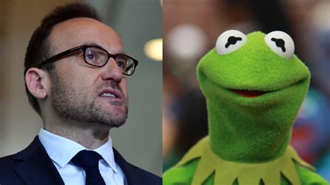 ‘Kermit was wrong, it is easy being Green’: Greens slammed for policy ...
