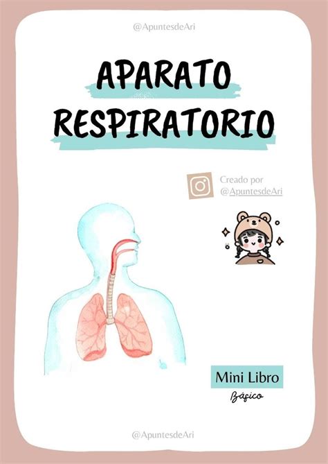 Aparato Respiratorio Apuntesdeari Apuntesdeari Udocz En