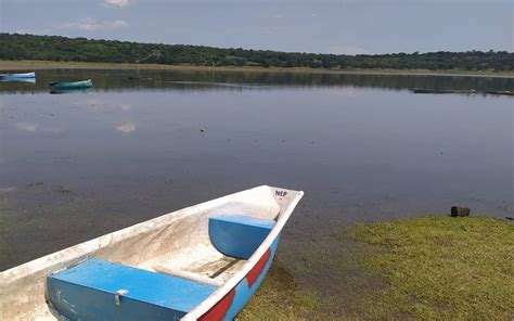 Laguna De Coatetelco En Riesgo De Secarse Pescadores El Sol De