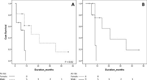 Comparative Kaplan Meier Survival Curves Of Patients Stratified By