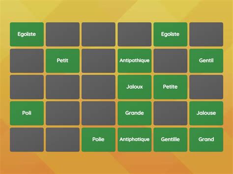 Adjectifs Classe Matching Pairs