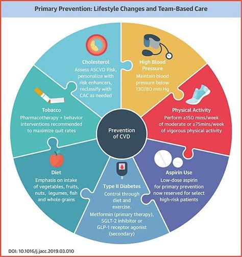 Understanding The New 2019 Acc Aha Guideline On The Prevention Of