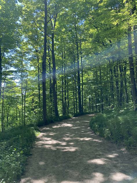 Exploring The Trails At Rattlesnake Point Conservation Area Gone With