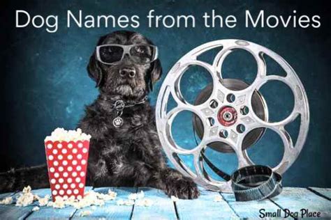 Dog Names from Movies: Choose a Name Based on a Celebrity Dog