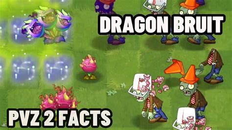 Facts About New Plant Dragon Bruit From Pvz 2 Plants Vs Zombies 2 Youtube