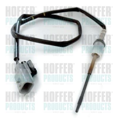 Sensor Exhaust Gas Temperature HOF7452180 HOFFER 2264000QAK