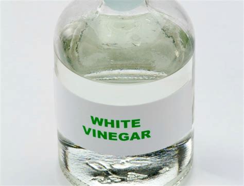 Killing Weeds With Vinegar Thriftyfun