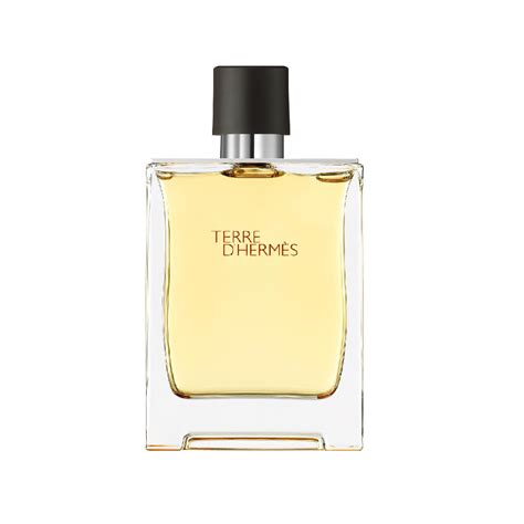 Buy Hermes Terre D Hermes EDT Men 200ML