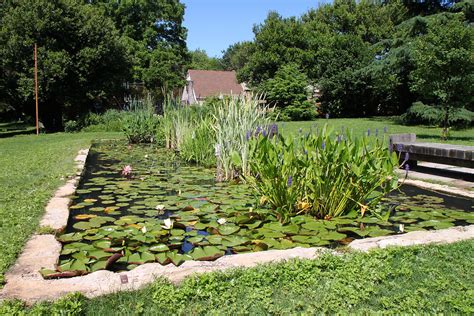 Kenilworth Aquatic Gardens Pond Pond With Waterlillies And Flickr