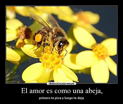 Top 31 Imagen Frases De Abeja Y Amor Abzlocal Mx