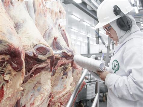 Frigor Fico Verdi Qualidade Em Carnes Estrutura