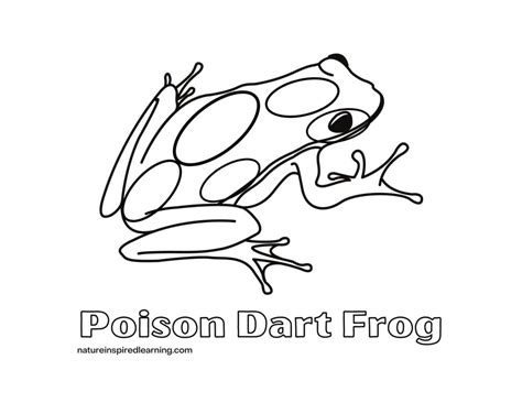 Amphibians Coloring Pages Coloring Nation