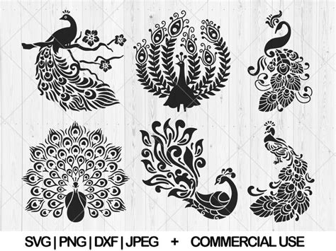 Peacock Svg Bundle Floral Peacock Svg Dxf Png Peacock With