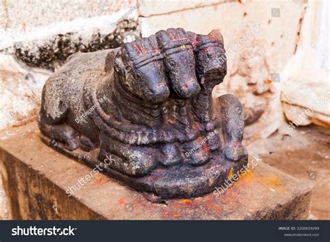 194 Shiva Side Face Images Stock Photos And Vectors Shutterstock