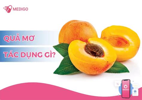 Công dụng của Quả mơ đến sức khỏe