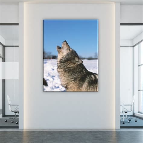 Quadro Lobo Na Neve Uivando Tabloide Pt