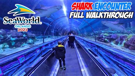 Shark Encounter Full Walkthrough Seaworld Orlando March K