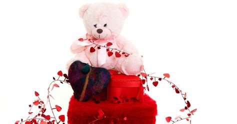 Teddy Bear Gift Meaning Everything You Need To Know