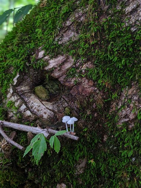 Best Pennsylvania Images On Pholder Abandoned Porn City Porn