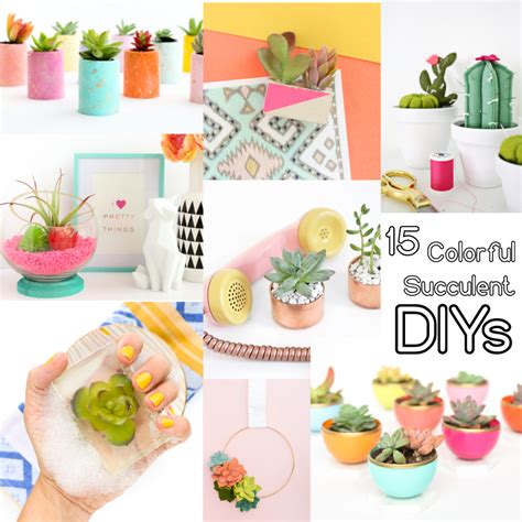 DIY It 15 Colorful Succulent Craft Projects A Kailo Chic Life