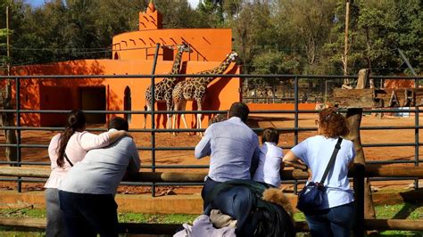 ZoolÓgico De CÓrdoba Lo Que Bernard Se Llevó Del Zoo De Córdoba