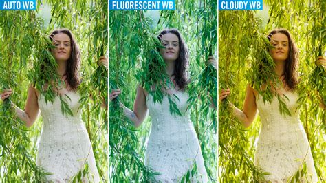 Understanding Your Camera S White Balance And When To Change It