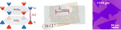 Dmp Interlayer Excitons In Advanced Cvd Based Van Der Waals