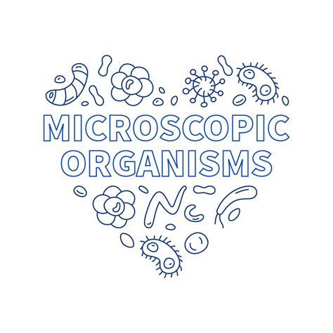 Microscopic Organisms Heart Vector Bacteriology Concept Outline Banner