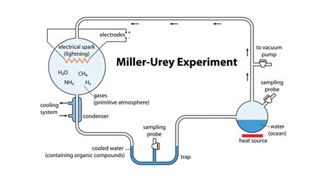 Teori Evolusi Kimia Menurut Harold Urey Stanley Miller Oparin