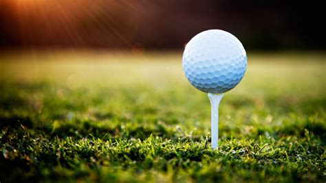 Sports Sunlight Reflection Grass Macro Green Golf Meadow Lawn Macro Photography Ball