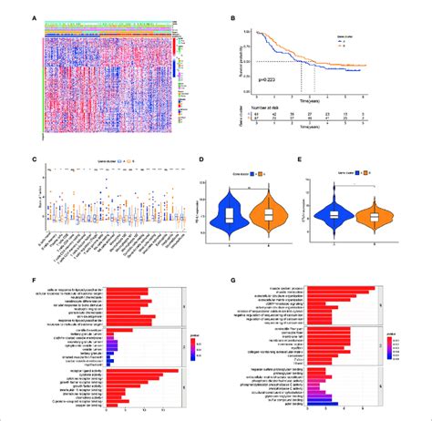 Identification Of Immune Gene Subtypes A Unsupervised Clustering Download Scientific