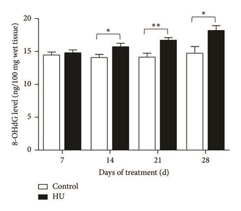 Effects Of Hu Hindlimb Unloading On Ros And Ohdg Level In Rat