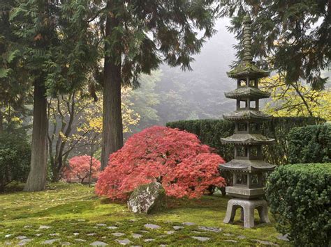 Japanese Garden Design What To Include And Avoid 49 Off