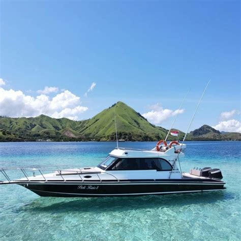 Full Day Komodo Pink Beach And Rinca Island With Speed Boat Journey