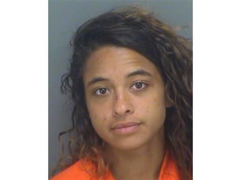 Clearwater Prostitution Crackdown 10 Arrested Clearwater Fl Patch